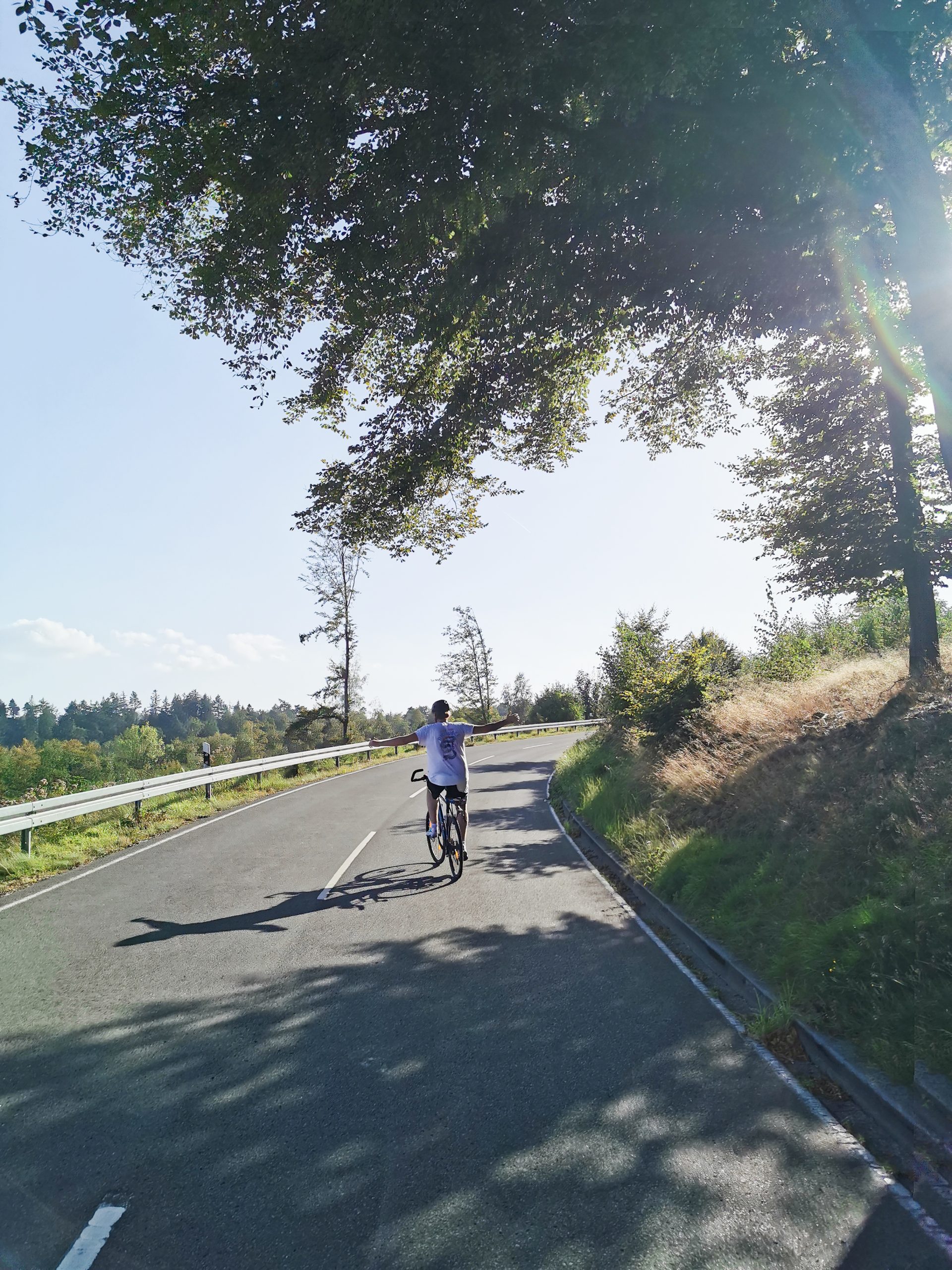 Das Foto zeigt einen Radfahrer auf dem Weg zum Hermannsdenkmal an der Römer-Lippe-Route
