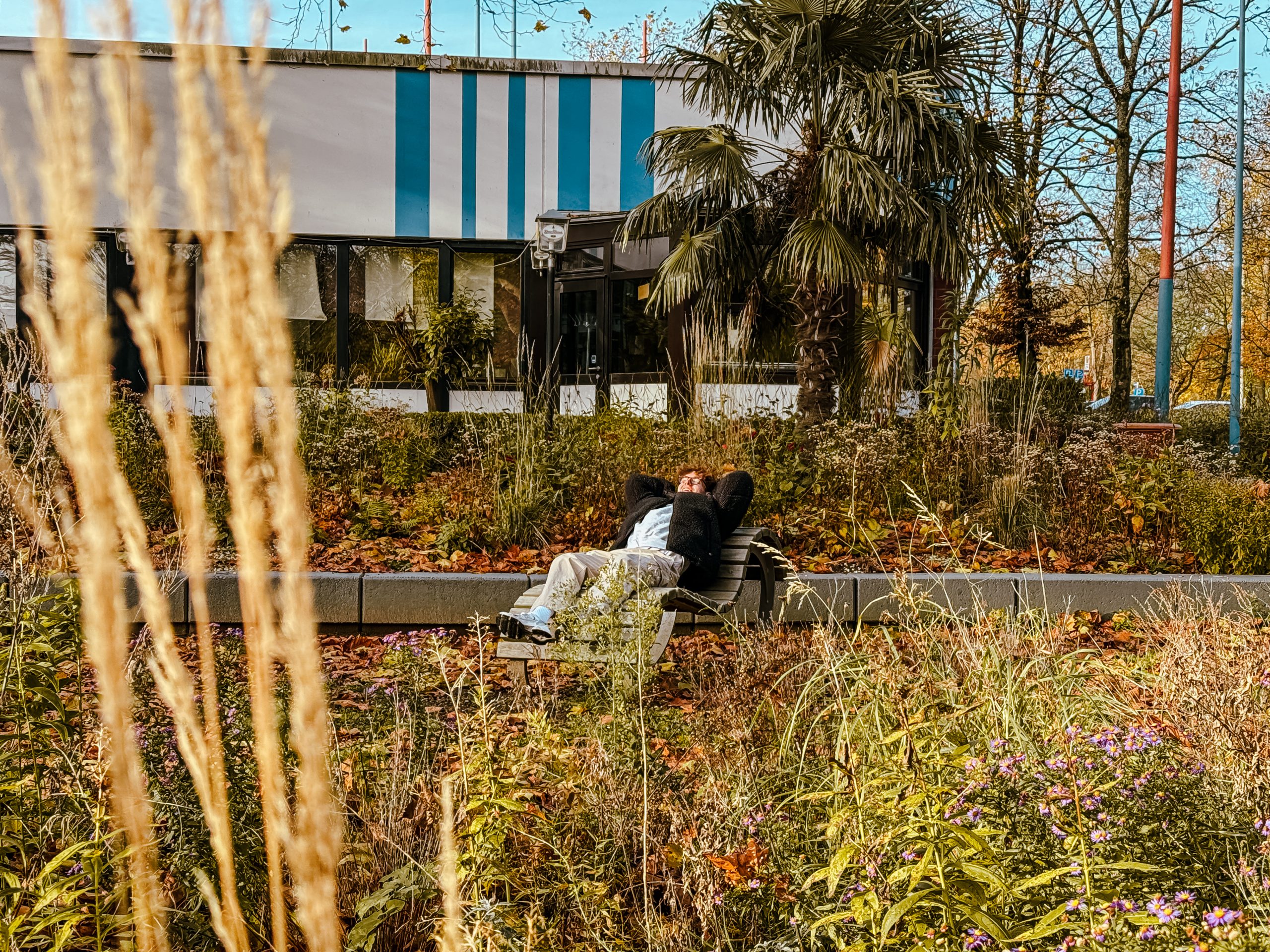 Außenaufnahme Revierpark Vonderort.