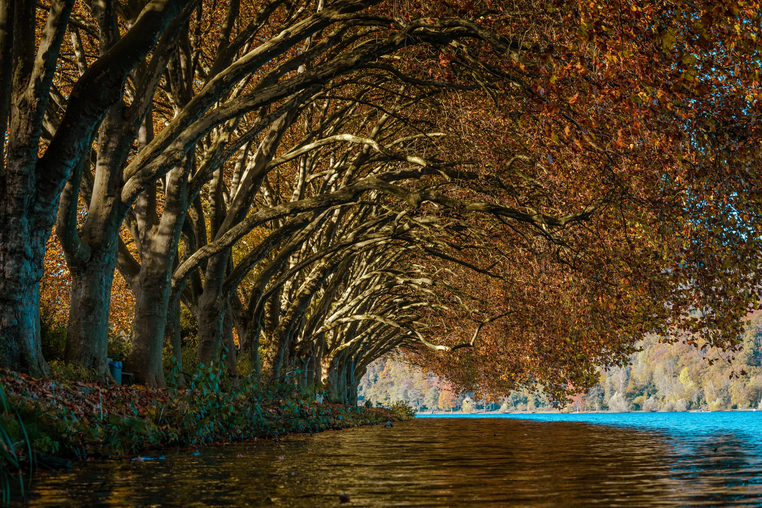 Bild zeigt Baldeneysee in Essen.