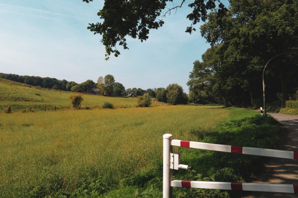 Das Foto zeigt Felder und Wiesen bei einer Radtour in Herne