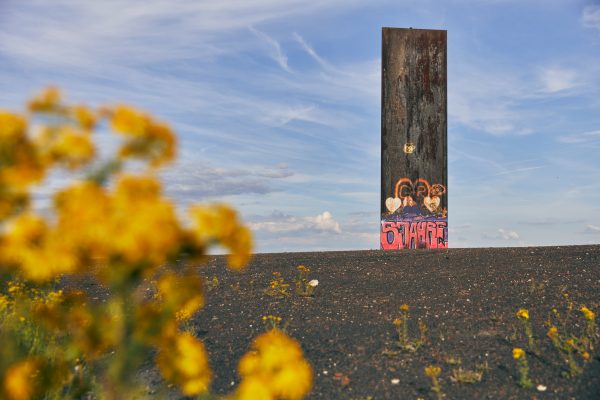 Das Foto zeigt die Schurenbachhalde in Essen