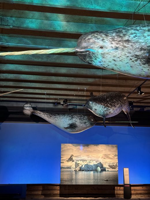 Das Foto zeigt ein Foto im Gasometer Oberhausen