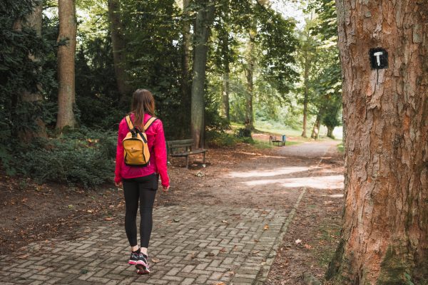 Das Foto zeigt den Wanderweg 3-Türme-Weg in Hagen