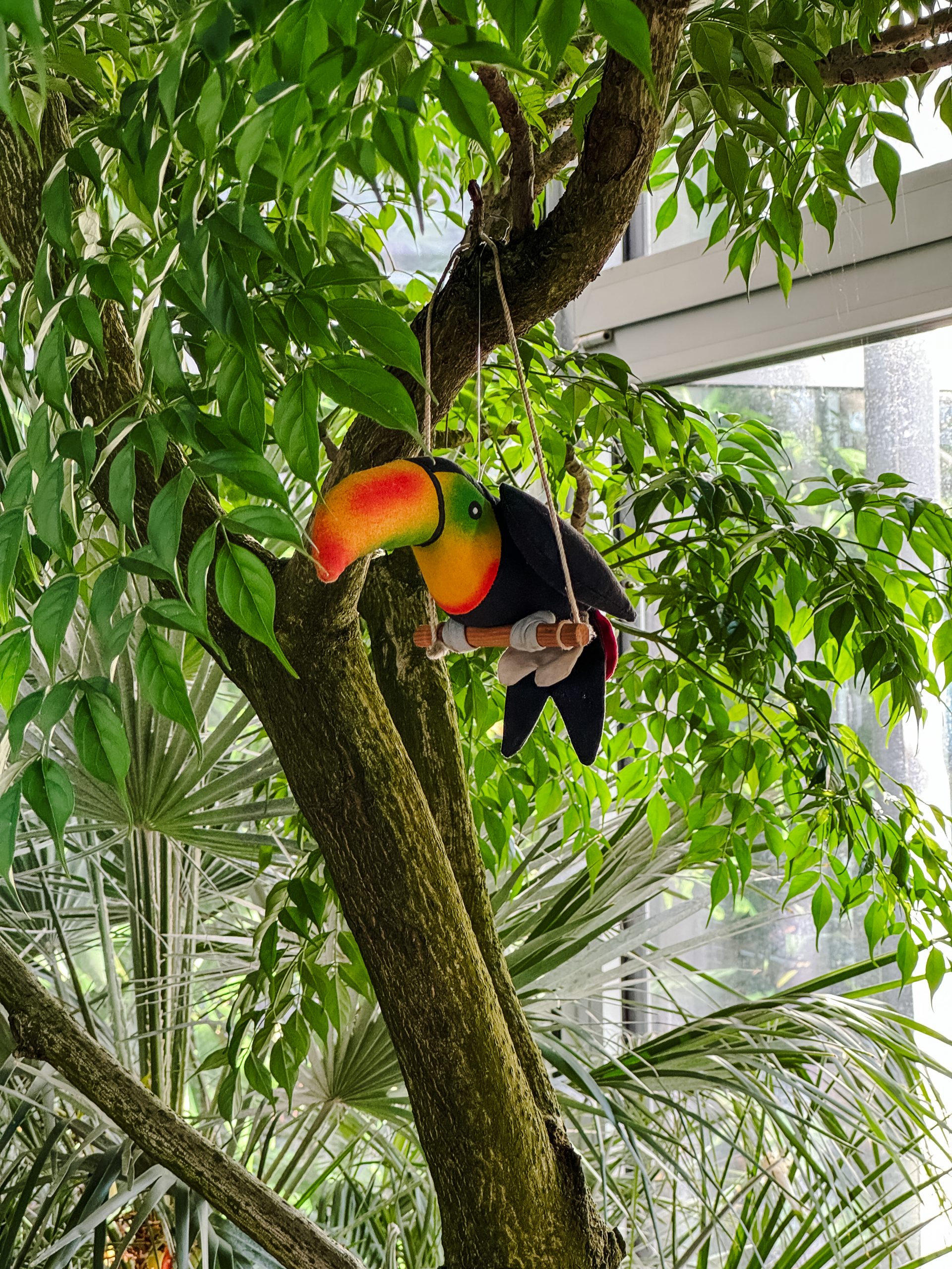 Das Foto zeigt das Tropenhaus im Grugapark in Essen von innen.