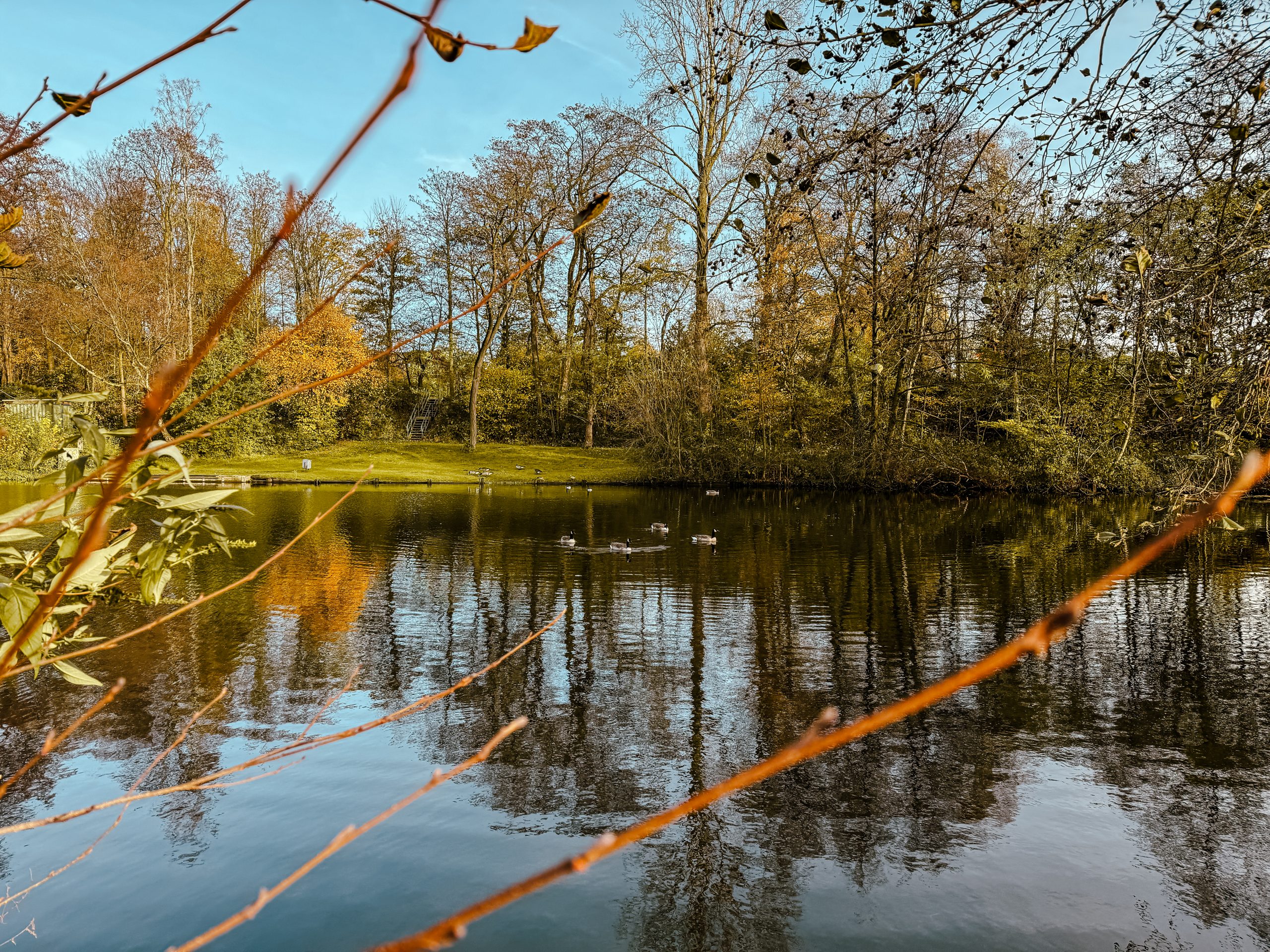 Außenaufnahme Revierpark Vonderort.