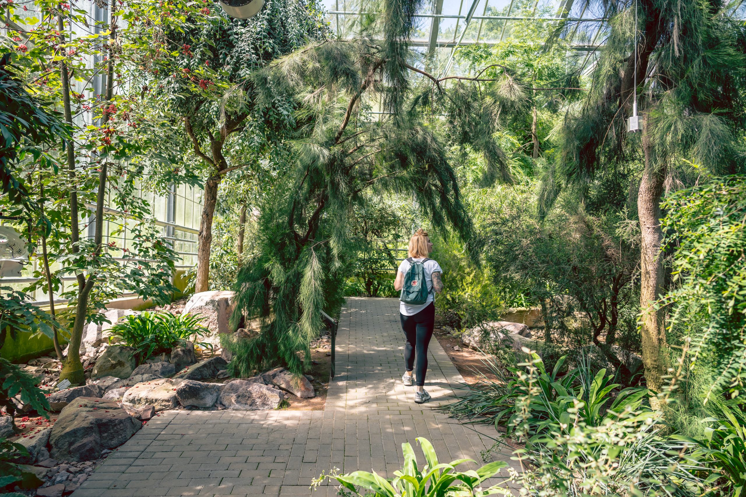 Das Bild zeigt den botanischen Garten in Bochum.